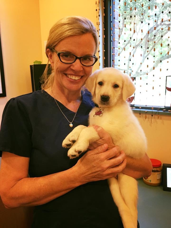 Bees Ferry Veterinary Hospital 20 Photos & 33 Reviews Veterinarians