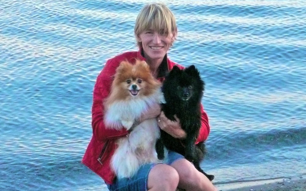 Setting Up A Dog Walking Business Setting Up A Dog Walking Business