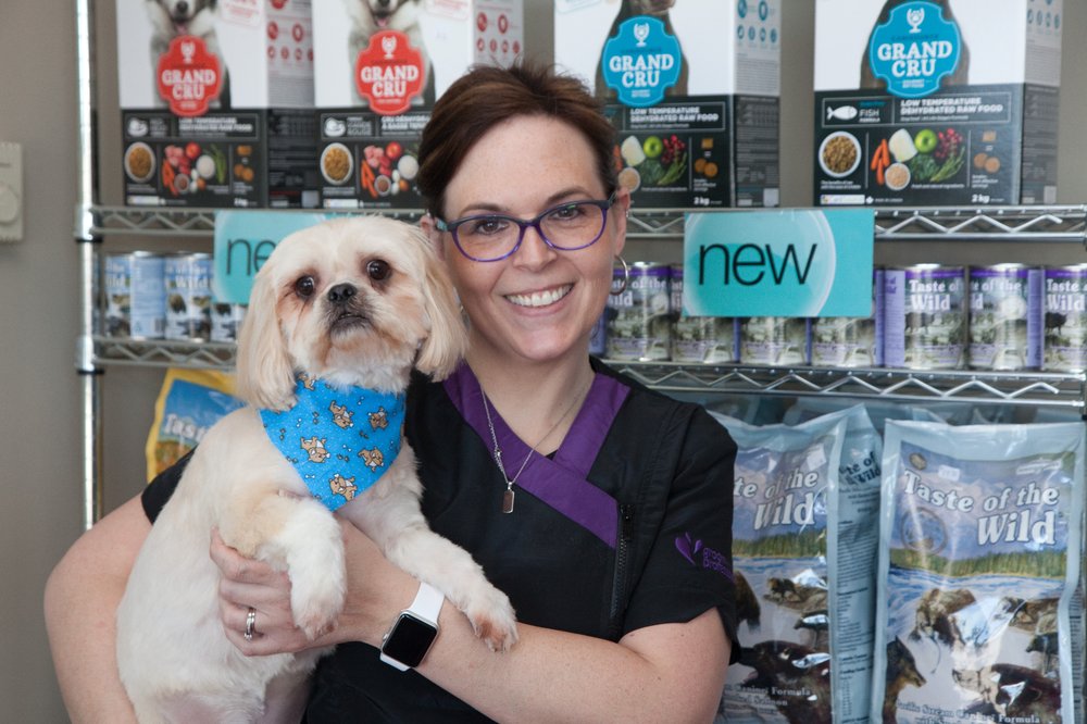 Dog Grooming Dartmouth Main Street Dog Grooming Dartmouth Main Street