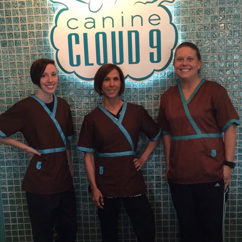 Canine Cloud Virginia Beach Canine Cloud Virginia Beach