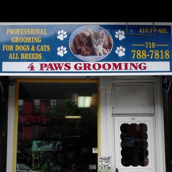 4 Paws Grooming Salon 41 Reviews Pet Groomers 410 7th Ave, South