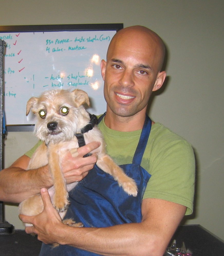 Doggie Styles Pet Grooming Pet Groomers Williamsburg South Side