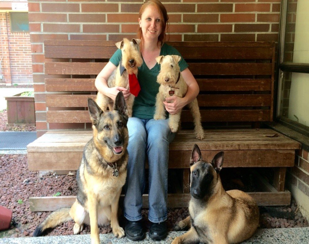 Bothell Dog Board And Train Bothell Dog Board And Train