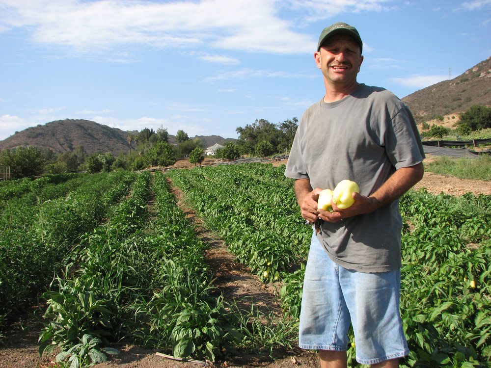 Eli’s Farms 57 Photos & 36 Reviews CSA 2929 E Mission Rd