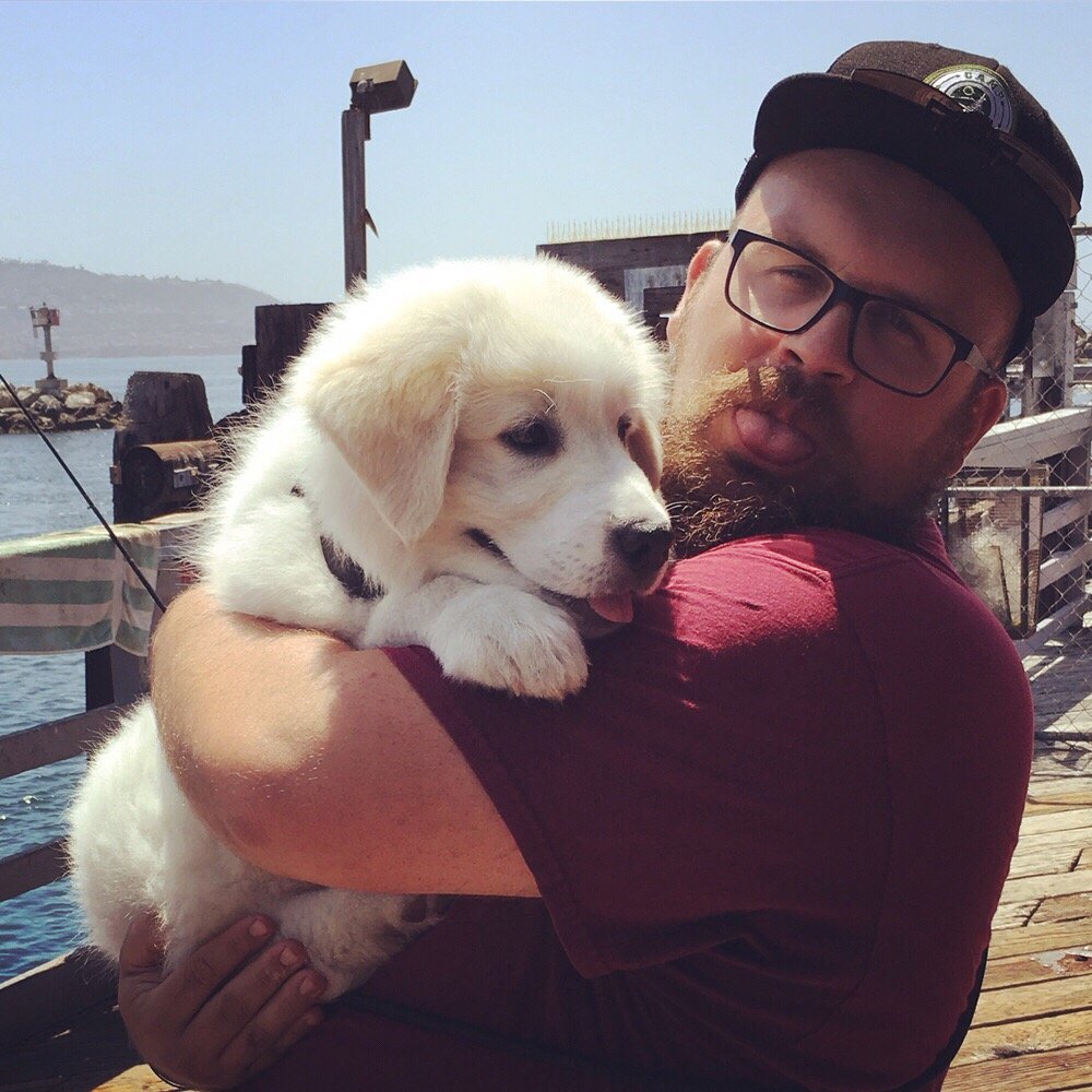 Can You Bring Dogs On Boats Can You Bring Dogs On Boats