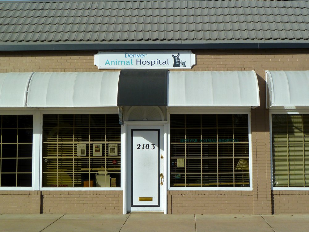 Denver Animal Hospital 42 Reviews Veterinarians 2103 E Virginia