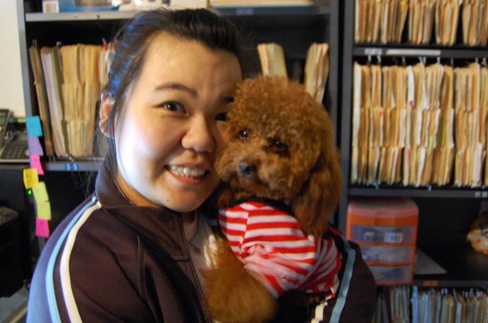 Good Dog Grooming Houston Tx Good Dog Grooming Houston Tx