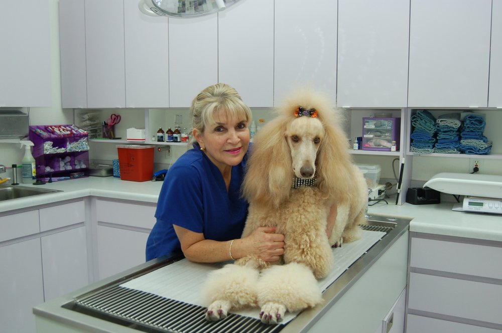 Eastlake Village Veterinary Clinic 26 Photos & 58 Reviews
