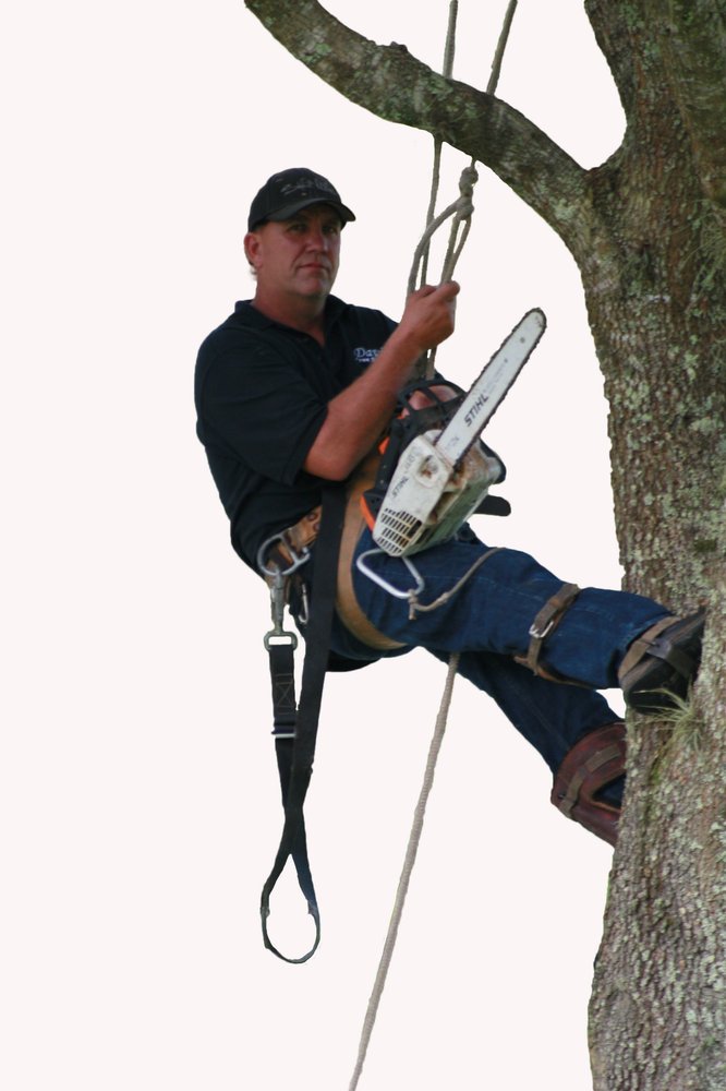 Davis Tree Service 181 Photos Services 439 Gasline Rd John D Business Owner Davis Tree Service