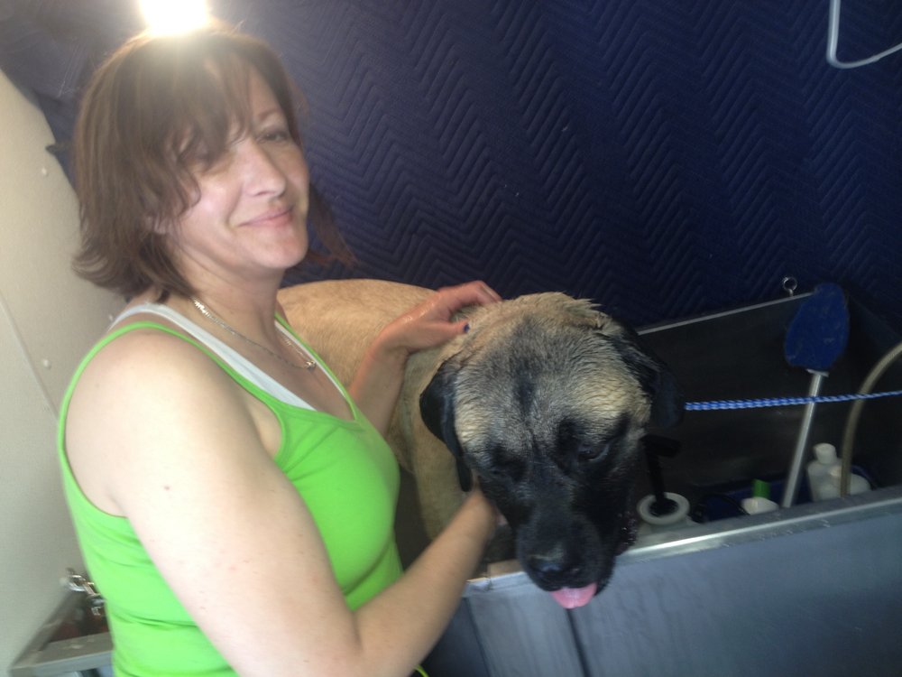 Paragon Dog Grooming School Paragon Dog Grooming School