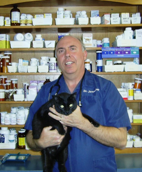 Glendale Animal Hospital 29 Reviews Veterinarians 7615 N 75th Ave