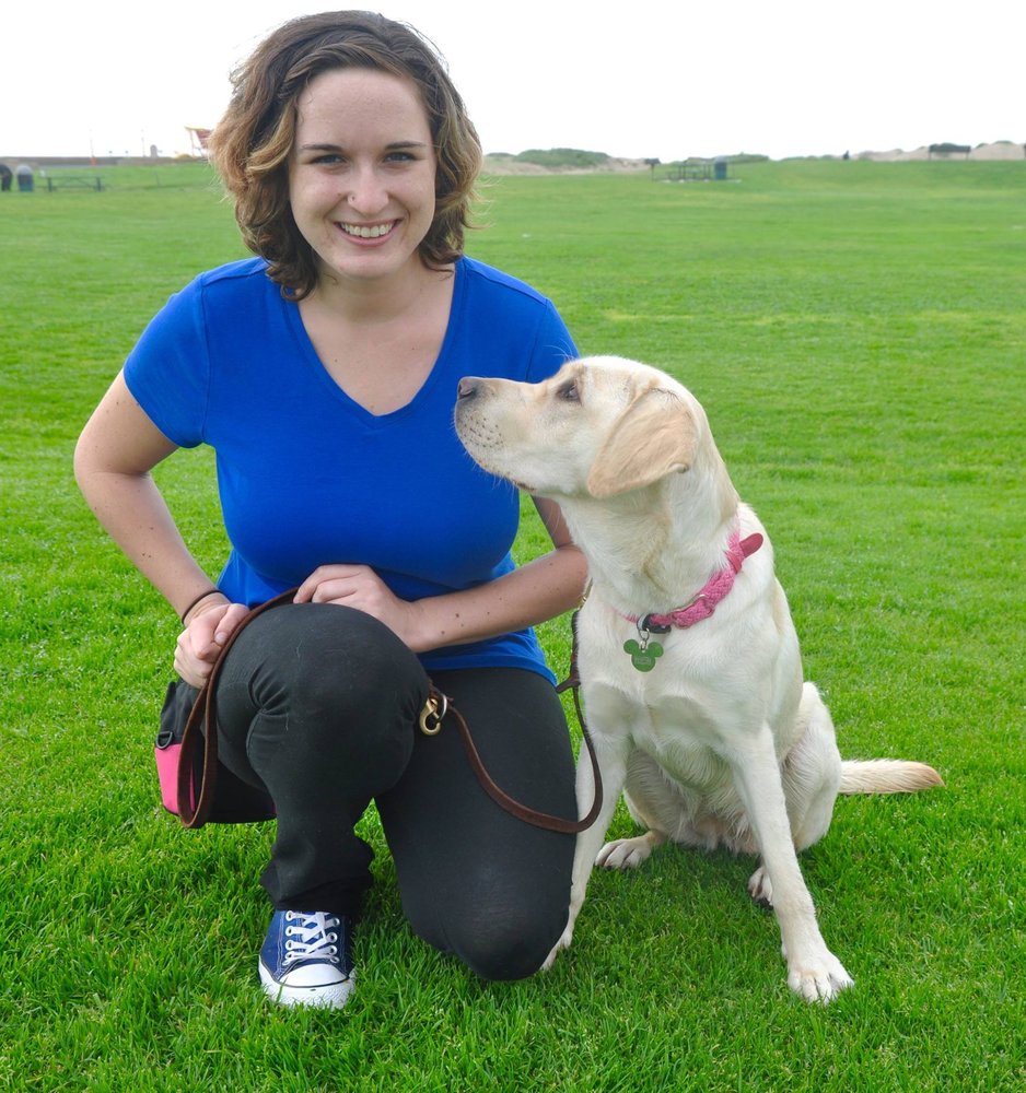 Service Dog Training Ventura County Service Dog Training Ventura County