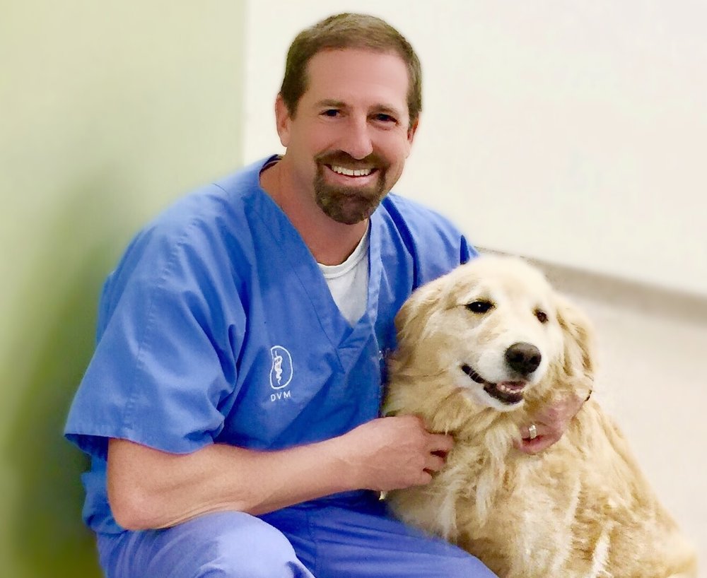 Mechanicsville Animal Hospital Veterinarians 7044 Lee Park Rd