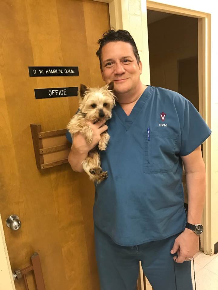 Alpine Animal Hospital 12 Photos & 12 Reviews Veterinarians 880 S