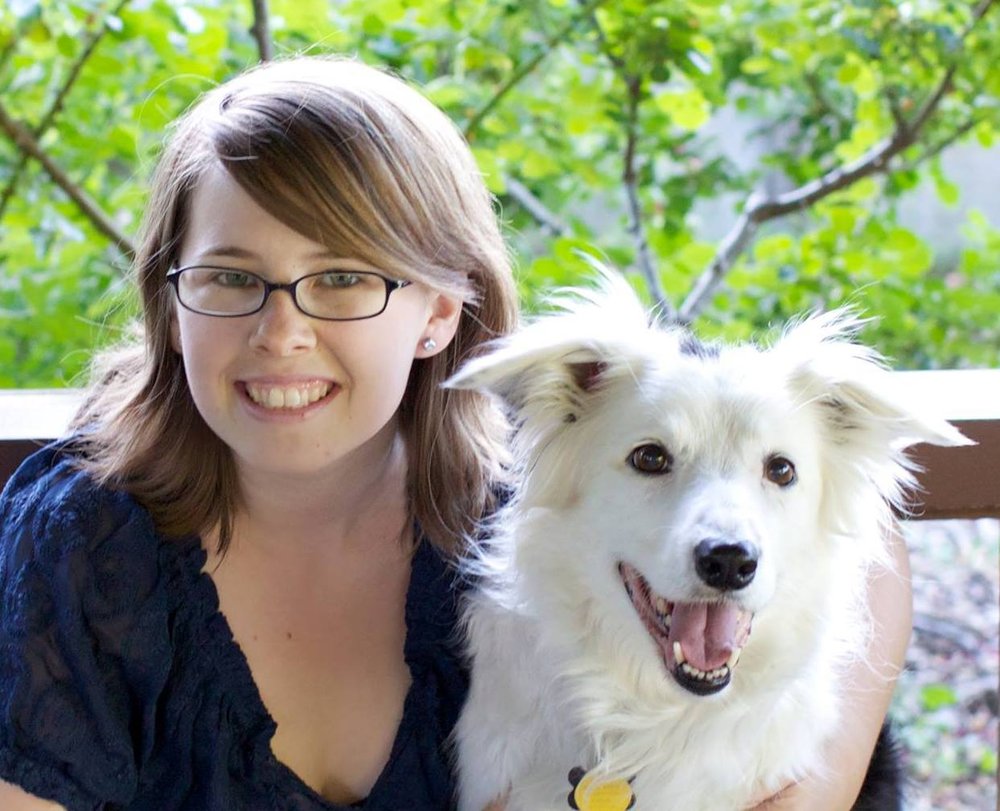 Tailored Dog Training Concord Tailored Dog Training Concord