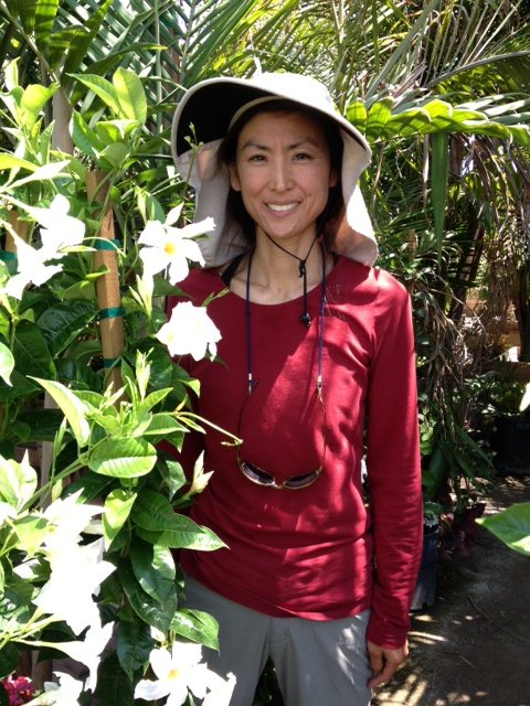 Sakioka Whole Nursery Inc 176 Photos 25 Reviews Nurseries Kathy S Manager Sakioka Whole Nursery