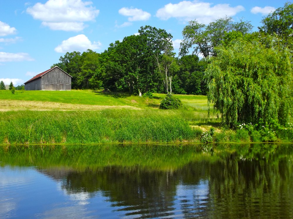 Meadow View Farms 120 Photos & 14 Reviews Farms 120 College Hwy