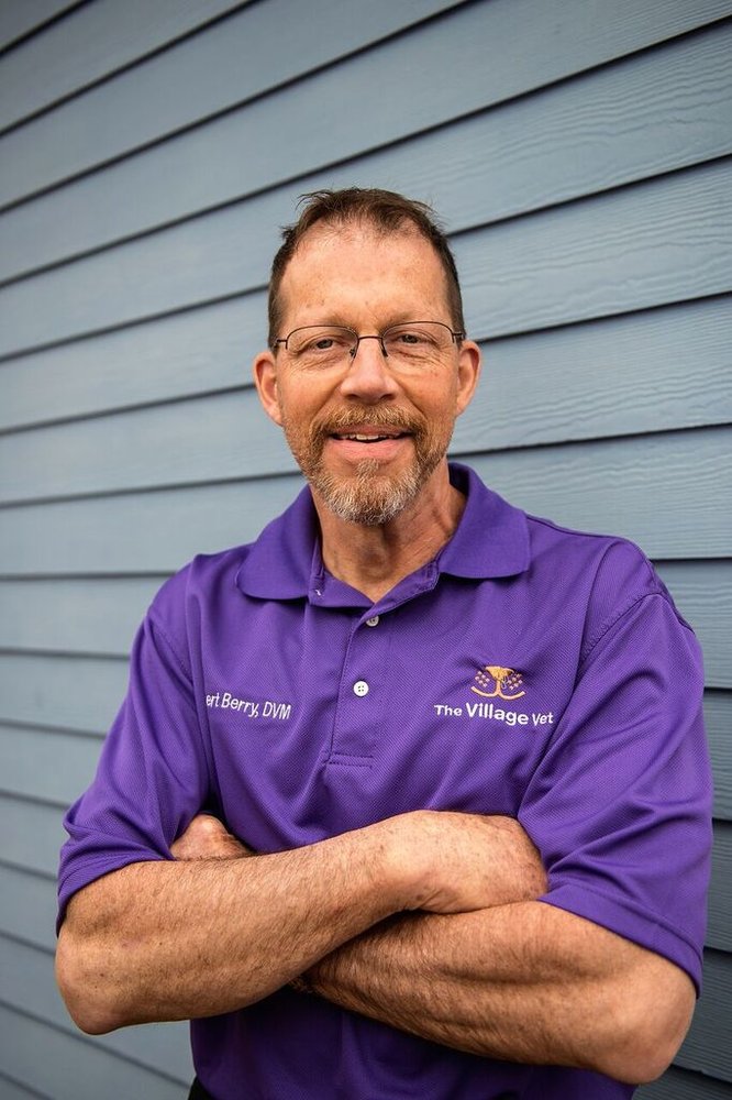 The Village Vet 31 Reviews Veterinarians 1620 Sulgrave Ave, Mount