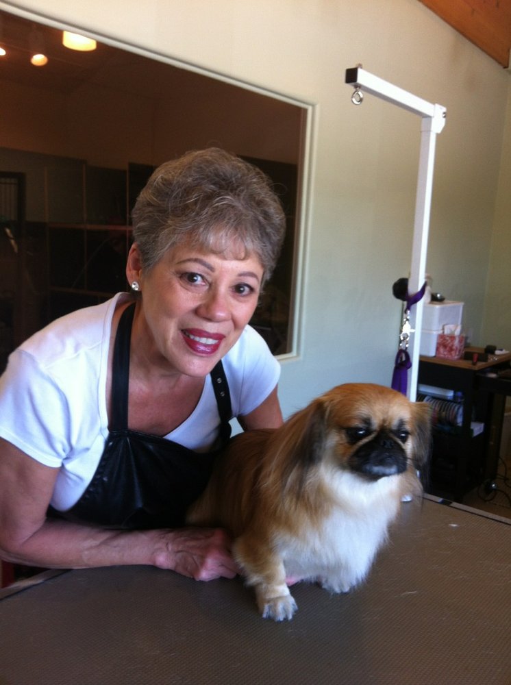 Uptown Dog Grooming 32 Photos & 38 Reviews Pet Groomers 73290 El