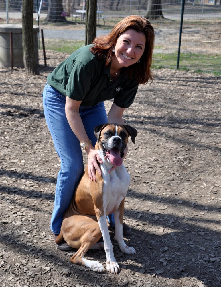 The Dog Eaze Inn 35 Photos & 31 Reviews Pet Sitting 13907