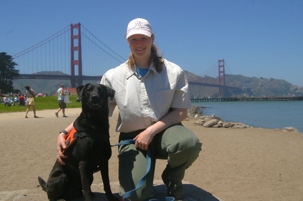 Alpha Dog Obedience Training Reviews Alpha Dog Obedience Training Reviews