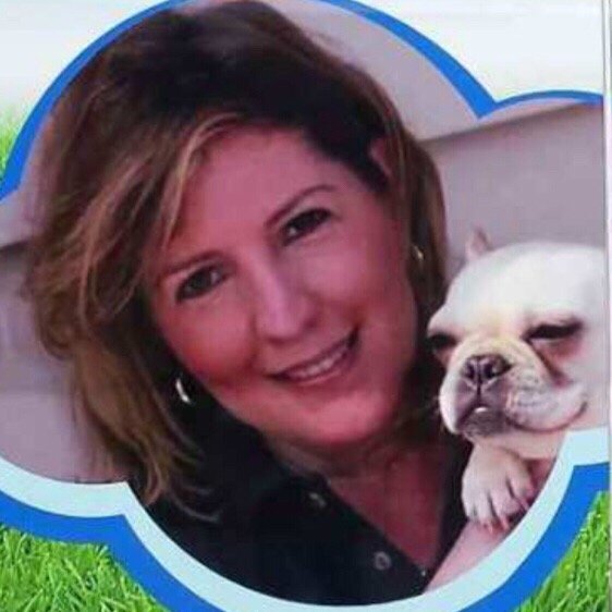 dogs rule resort dogs rule resort 14 photos 30 reviews pet groomers 5701 park vista cir keller dogs rule resort dogs rule resort 14 photos 30 reviews pet groomers 5701 park vista cir keller