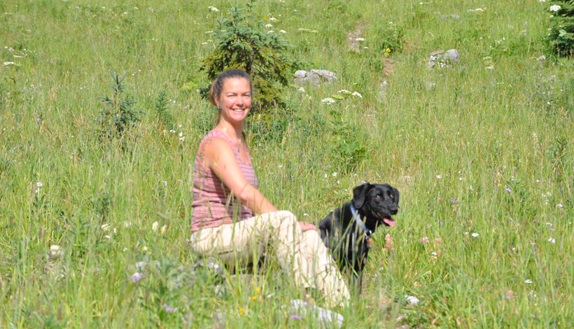 Carleton Place Dog Training Carleton Place Dog Training