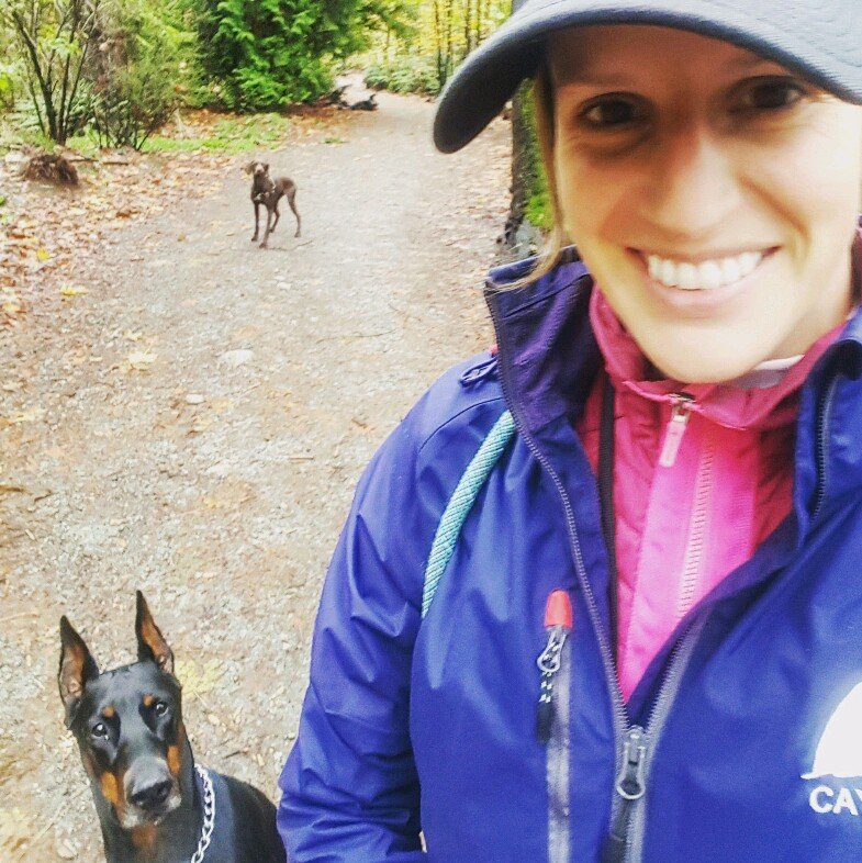 Davie S Dog Walking Service Davie S Dog Walking Service
