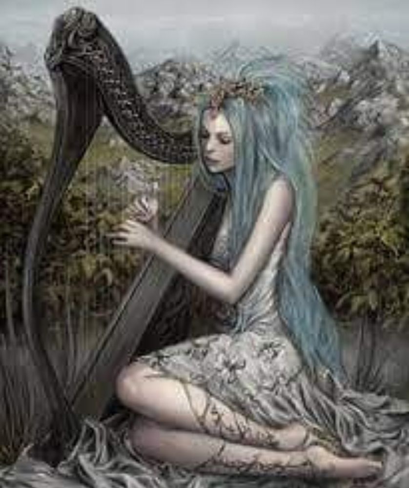 reviewer-profile-image