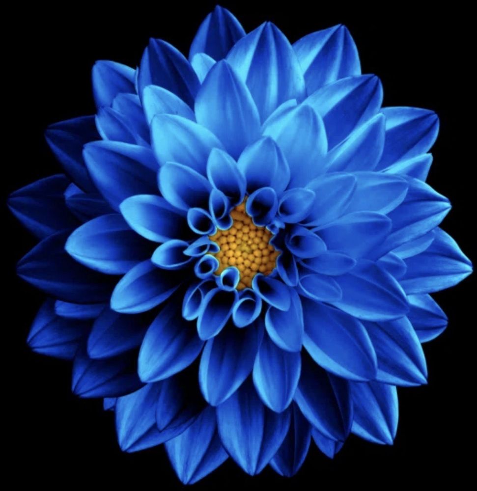 reviewer-profile-image