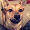 Kacie L. Kacie L.