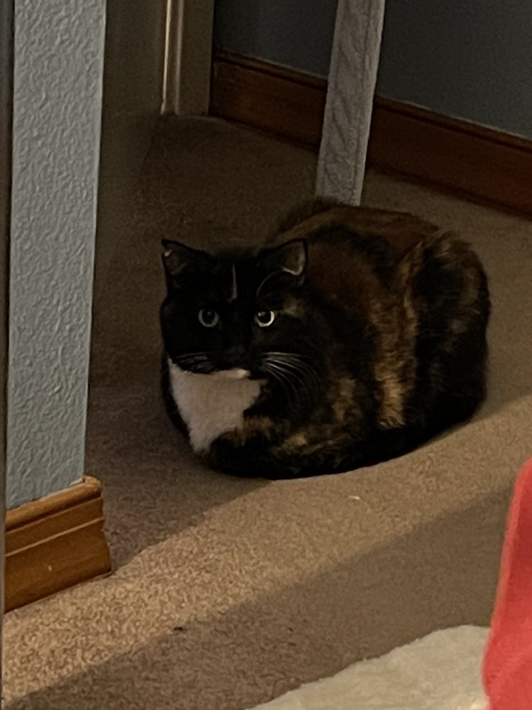 reviewer-profile-image