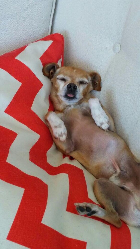 reviewer-profile-image