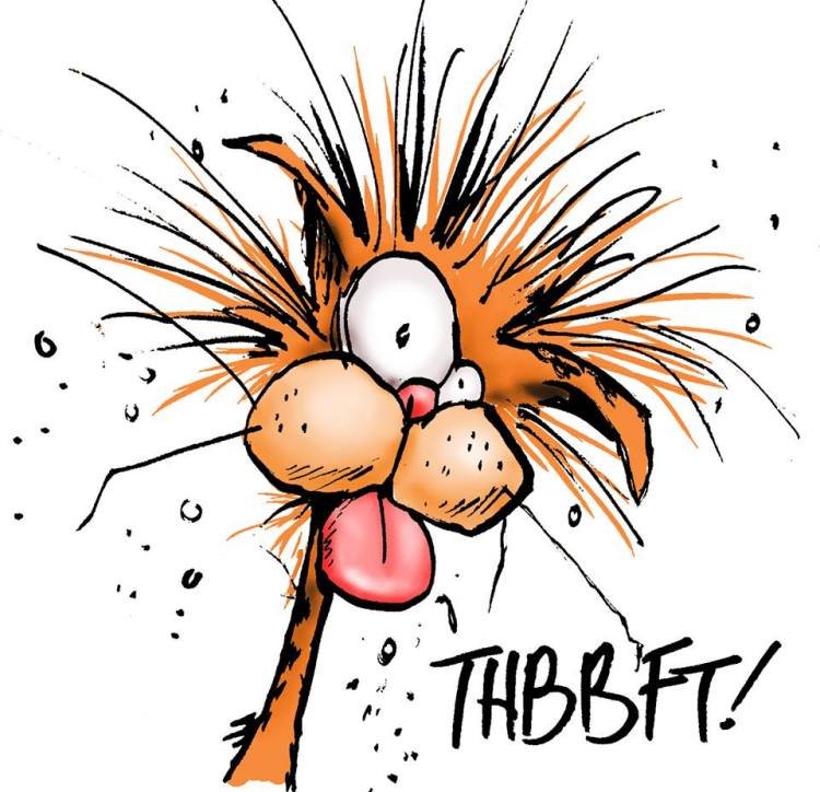 reviewer-profile-image