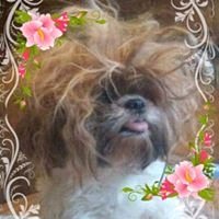 reviewer-profile-image