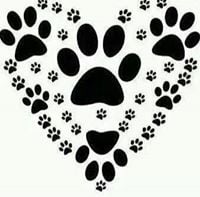 reviewer-profile-image