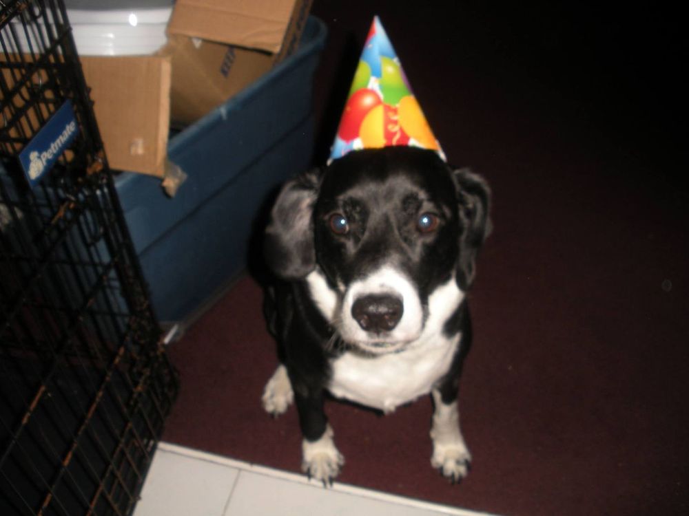 reviewer-profile-image