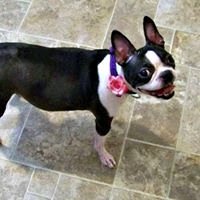 reviewer-profile-image