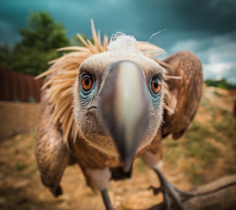 reviewer-profile-image