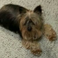 reviewer-profile-image