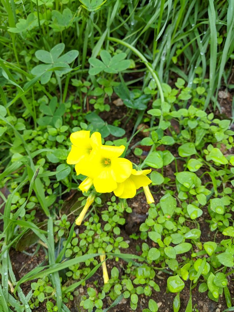 reviewer-profile-image