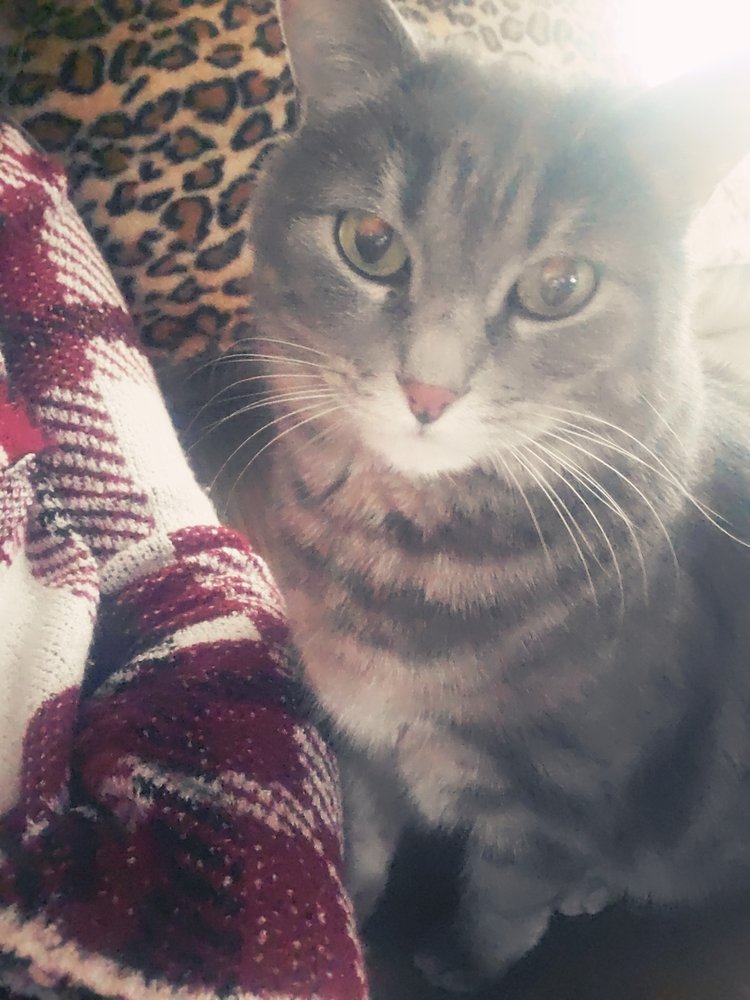 reviewer-profile-image