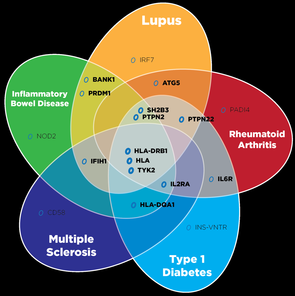 reviewer-profile-image