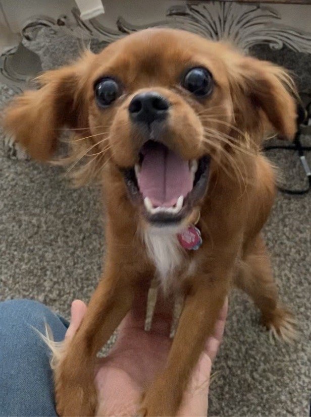 reviewer-profile-image