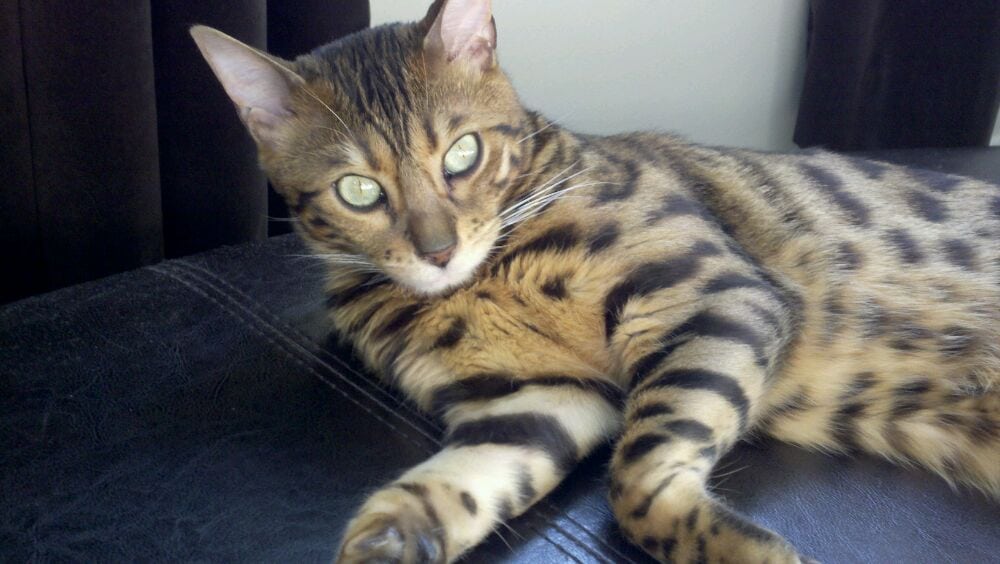 reviewer-profile-image
