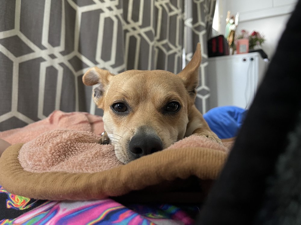 reviewer-profile-image