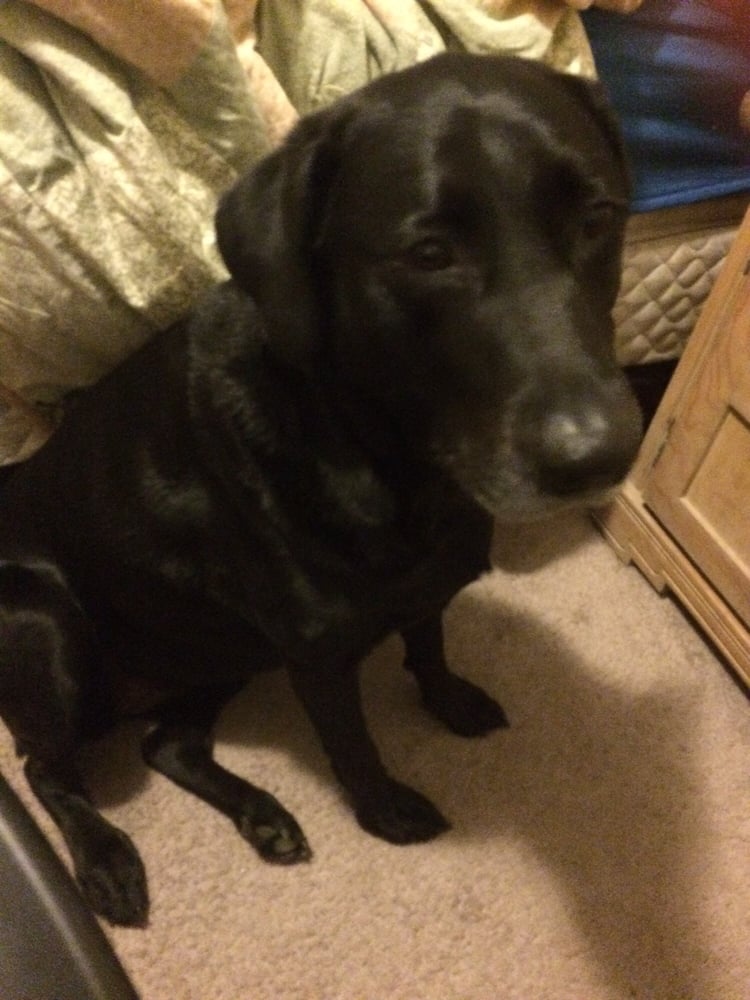 reviewer-profile-image