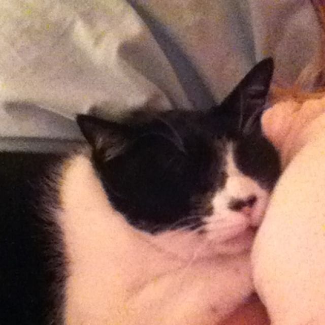 reviewer-profile-image