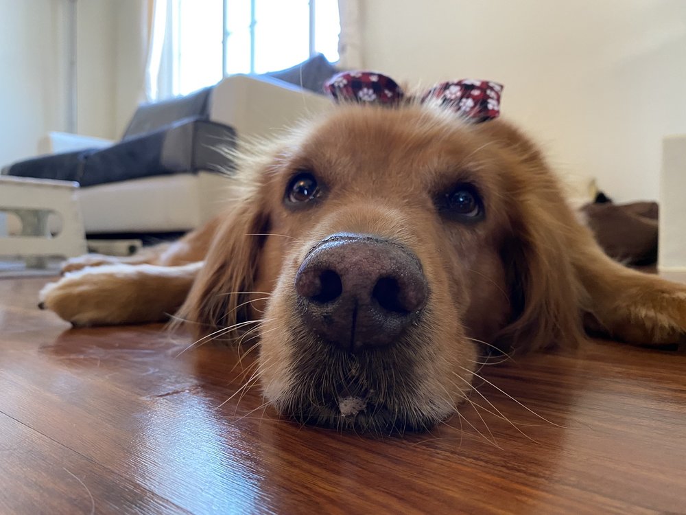 reviewer-profile-image