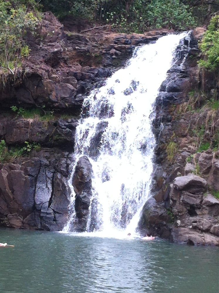 reviewer-profile-image